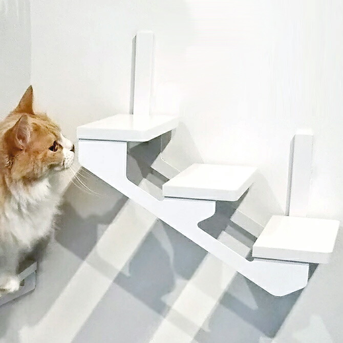 animacolle(アニマコレ) キャットトンネル animacolle｜Catroad+ キャットトンネル（単） 白 - こどもと
