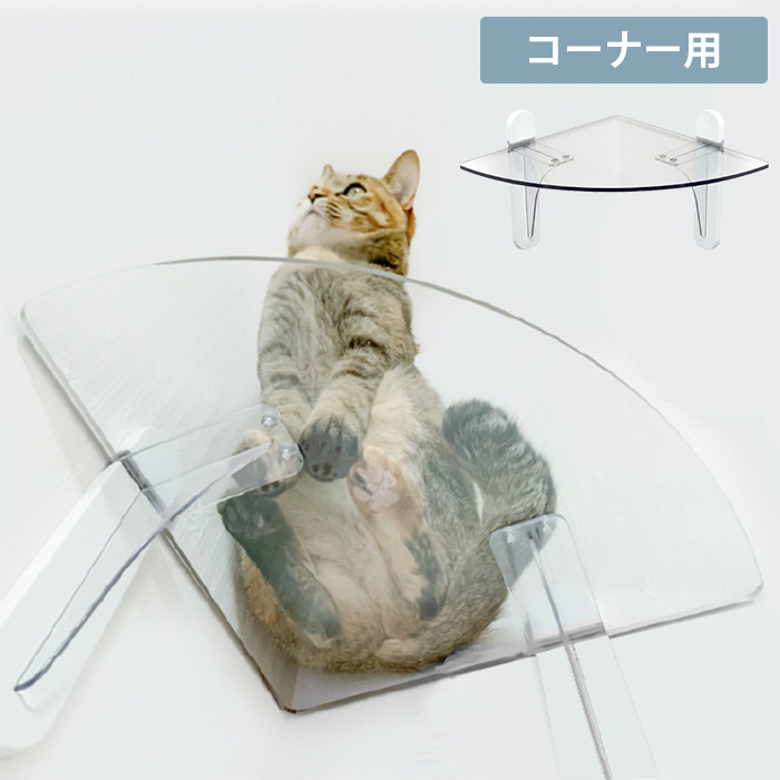 キャットステップの選び方