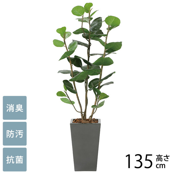 楽天市場】フェイクグリーン 鉢植え 大型 観葉植物 人工樹木 アーバン