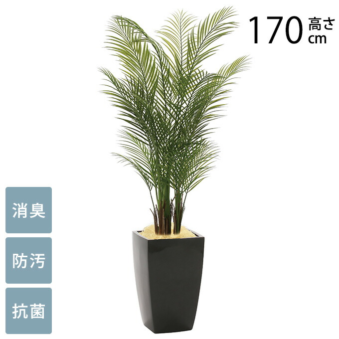 楽天市場】観葉植物 光触媒 植物 アレカパーム グリーン 人工観葉植物