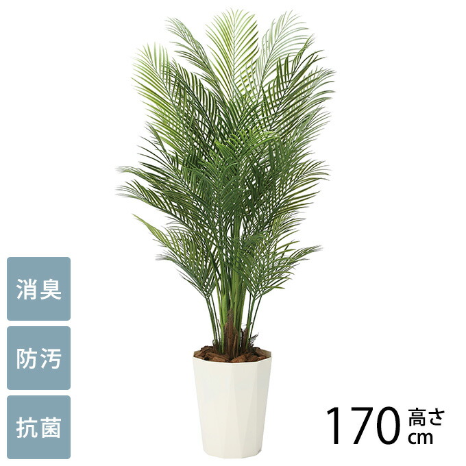 楽天市場】観葉植物 光触媒 植物 アレカパーム グリーン 人工観葉植物