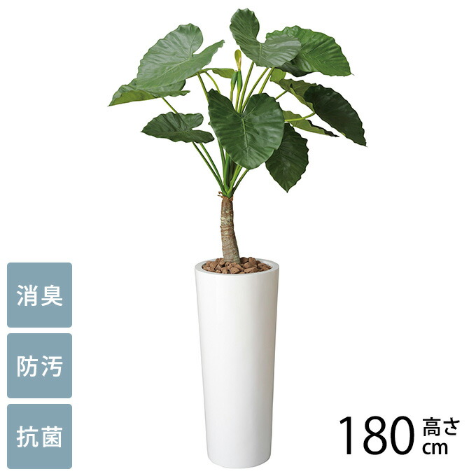 愛猫愛犬の利益の介護・受け支える科目