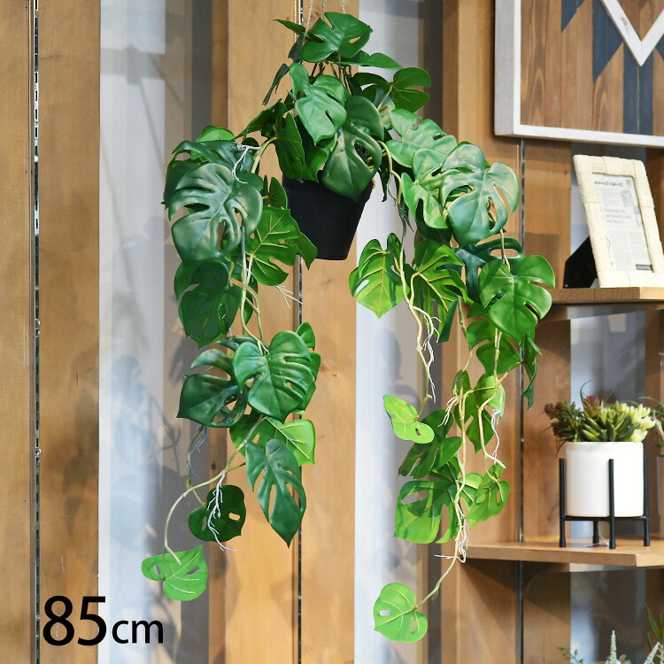 愛猫愛犬の利得の介護・受け支える個条