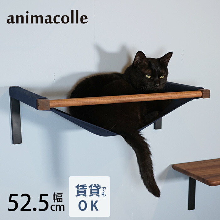 キャットステップの選び方