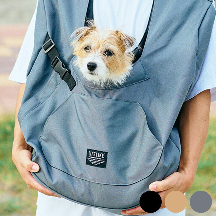 キャットステップの選び方