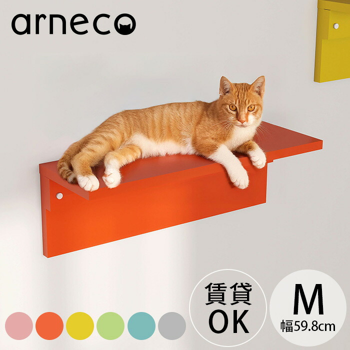 キャットステップの選び方