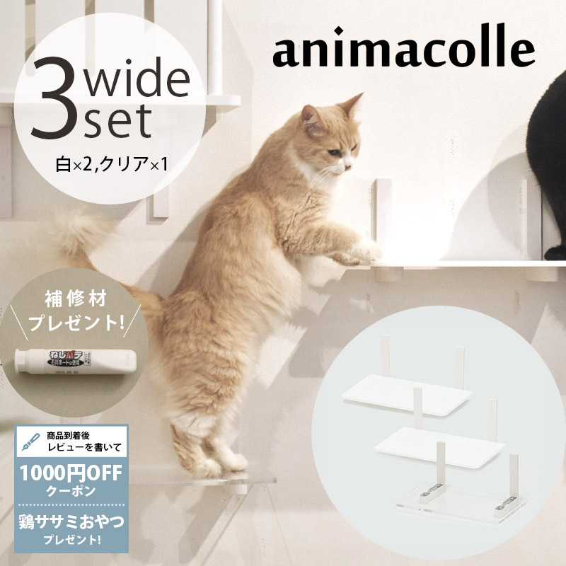 愛猫愛犬の利得の介護・受け支える個条