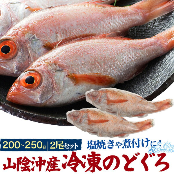 市場 山陰沖産 2尾セット 冷凍のどぐろ 塩焼き ノドグロ リキッド凍結 冷凍 煮付け 約0 250g のどぐろ 特大