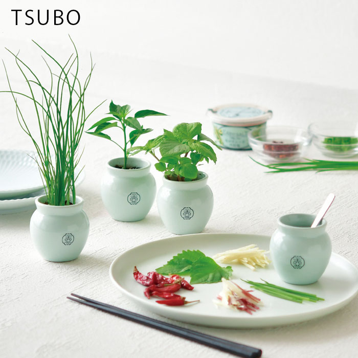 楽天市場】【全品ポイントUP☆11/30限定】 栽培キット 野菜 TSUBO しそ