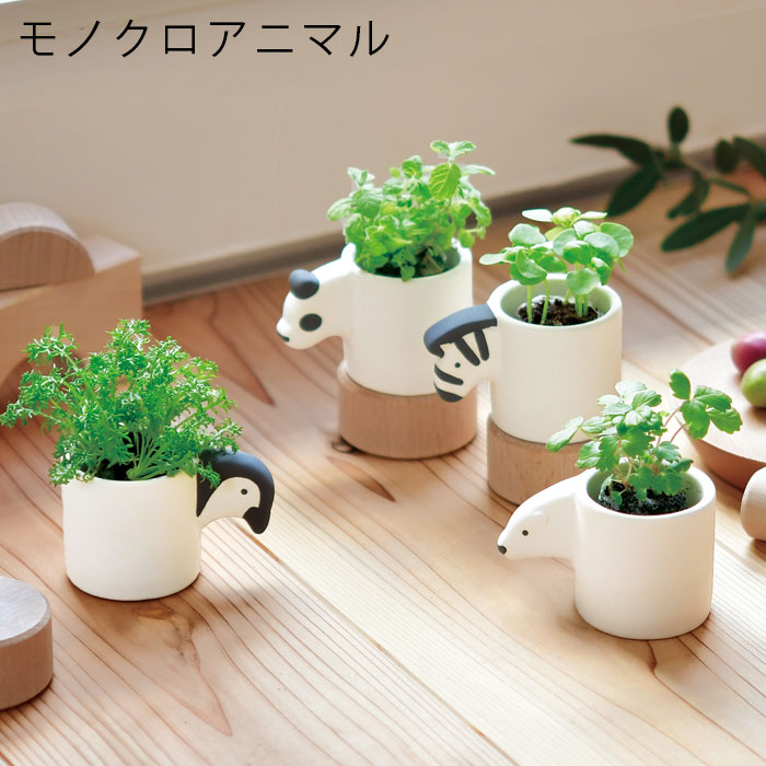 楽天市場】【大感謝祭SALE】【送料無料】シロクマ 栽培セット アニマル