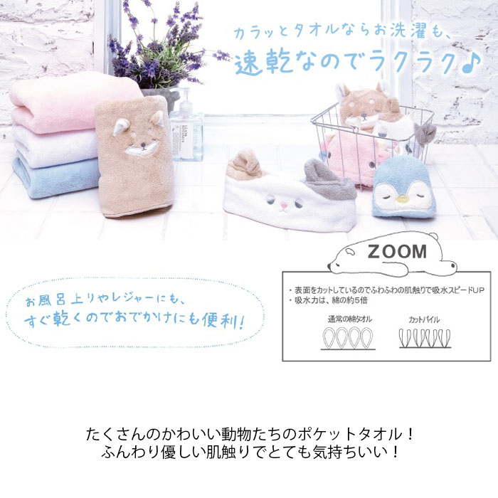 メール便 タオル ハンドタオル キッズ ミニタオル ポケットタオル かわいい 吊り下げ 吸水カラッとタオル