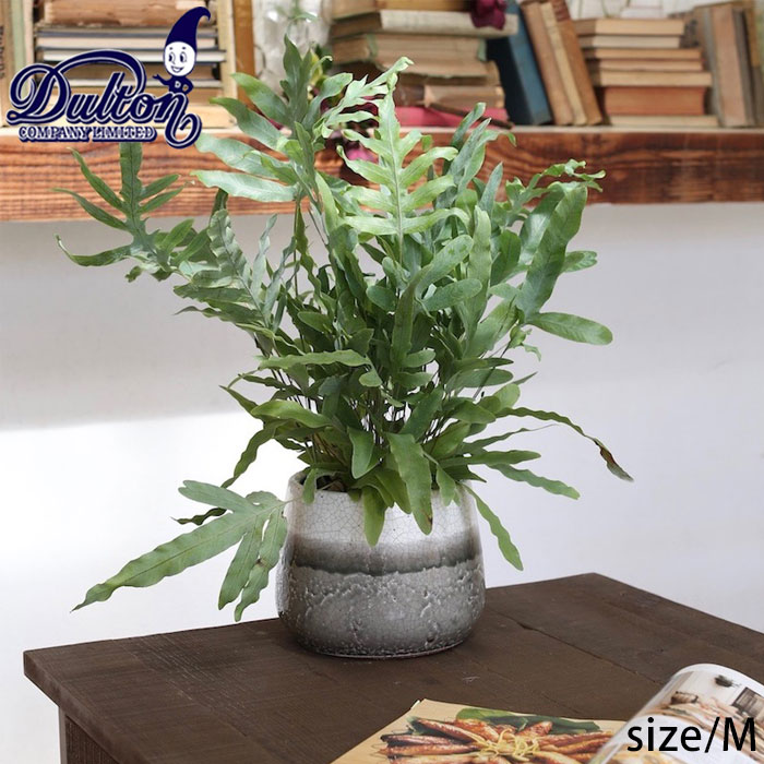 楽天市場 植木鉢 おしゃれ 陶器 室内 Dulton ダルトン 鉢 屋外 屋内 グレイズドポット ラウンド M フラワーポット グレー 高さ14cm K655 851mgg プランター 受け皿付き 家庭菜園 ガーデニング エクステリア 庭 玄関先 底穴 Zakka Green
