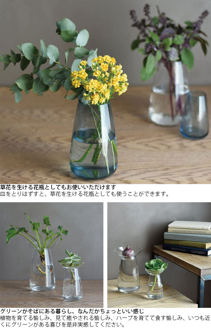 楽天市場 Kinto キントー 花瓶 ガラス おしゃれ 一輪挿し Aqua Culture Vase Lサイズ クリア 843 フラワーベース 花器 花 グリーン 栽培 ハーブ インテリア オブジェ ガラス製 フラワーグラス 水栽培 水耕栽培 Zakka Green