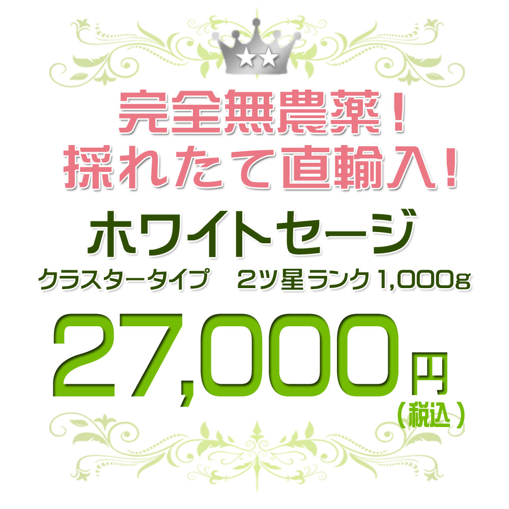 送料無料 あす楽対応 無農薬 直輸入 ホワイトセージ クラスター 1000g 1kg 2ツ星 枝付き ホワイト セージ 浄化用 スマッジング ハーブ カリフォルニア アロマ お香 乾燥 浄化 苗 効果 通販 ポイント消化 テレワーク 在宅 Rocrooms Com
