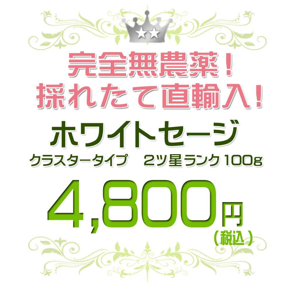 【あす楽対応商品】★送料無料無農薬高品質★ホワイトセージクラスター100g【枝付き】【ホワイトセージ浄化用スマッジングハーブカリフォルニアさざれアロマお香乾燥浄化効果花苗ポイント消化】