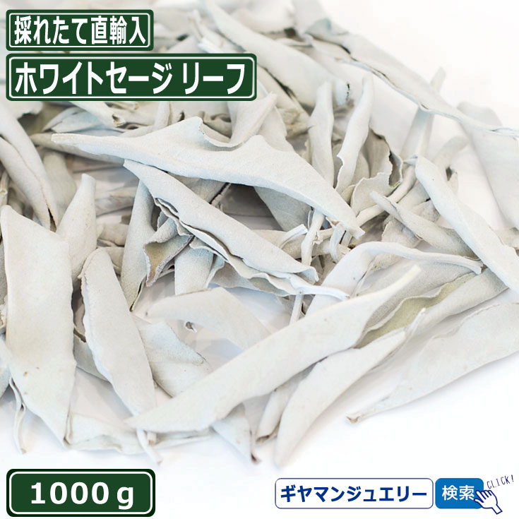 オープニング 大放出セール 送料無料 無農薬 直輸入 ホワイトセージ リーフ 1000g 1kg 枝なし ホワイト セージ 浄化用 スマッジング ハーブ カリフォルニア さざれ アロマ お香 乾燥 浄化 効果 花 苗 ホワイトセージとは ポイント消化 テレワーク 在宅 Ac