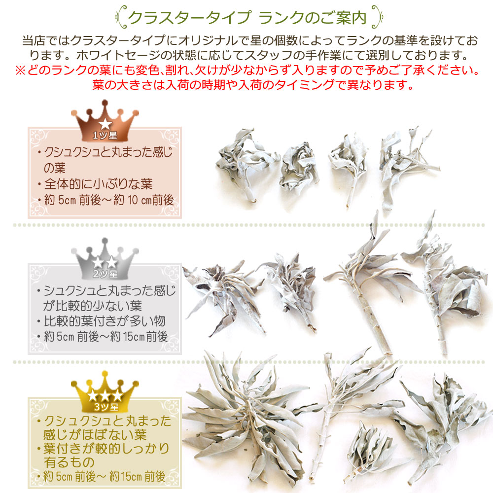 【あす楽対応商品】★送料無料無農薬高品質★ホワイトセージクラスター100g【枝付き】【ホワイトセージ浄化用スマッジングハーブカリフォルニアさざれアロマお香乾燥浄化効果花苗ポイント消化】