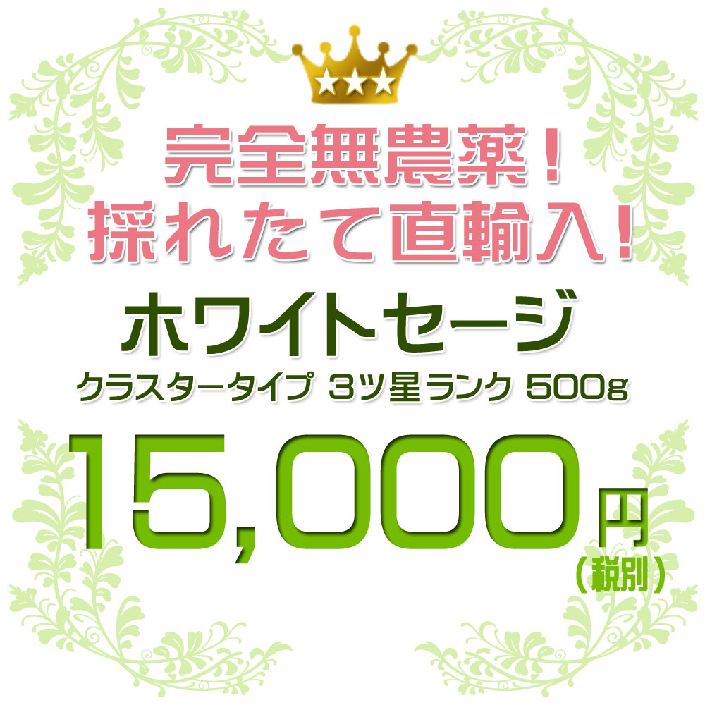 今なら 5 増量 送料無料 あす楽対応 500g 無農薬 直輸入 アロマ ホワイトセージ クラスター 500g 3ツ星 枝付き ホワイト セージ 浄化用 スマッジング ハーブ カリフォルニア さざれ アロマ お香 乾燥 浄化 効果 花 苗 ポイント消化 テレワーク 在宅