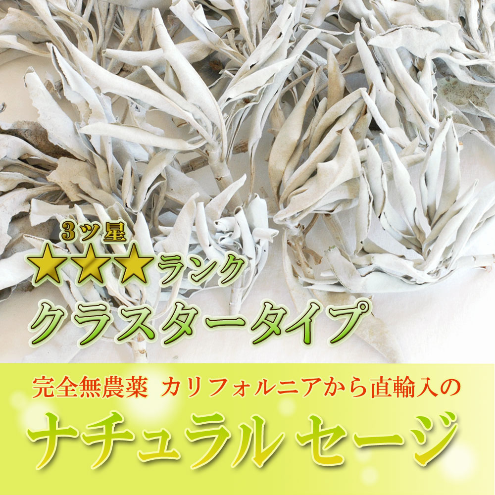 送料無料 あす楽対応 無農薬 直輸入 ホワイトセージ クラスター 300g 3ツ星 枝付き ホワイト セージ 浄化用 スマッジング ハーブ カリフォルニア さざれ アロマ お香 乾燥 浄化 効果 花 苗 ポイント消化 テレワーク 在宅 Ocrmglobal Com