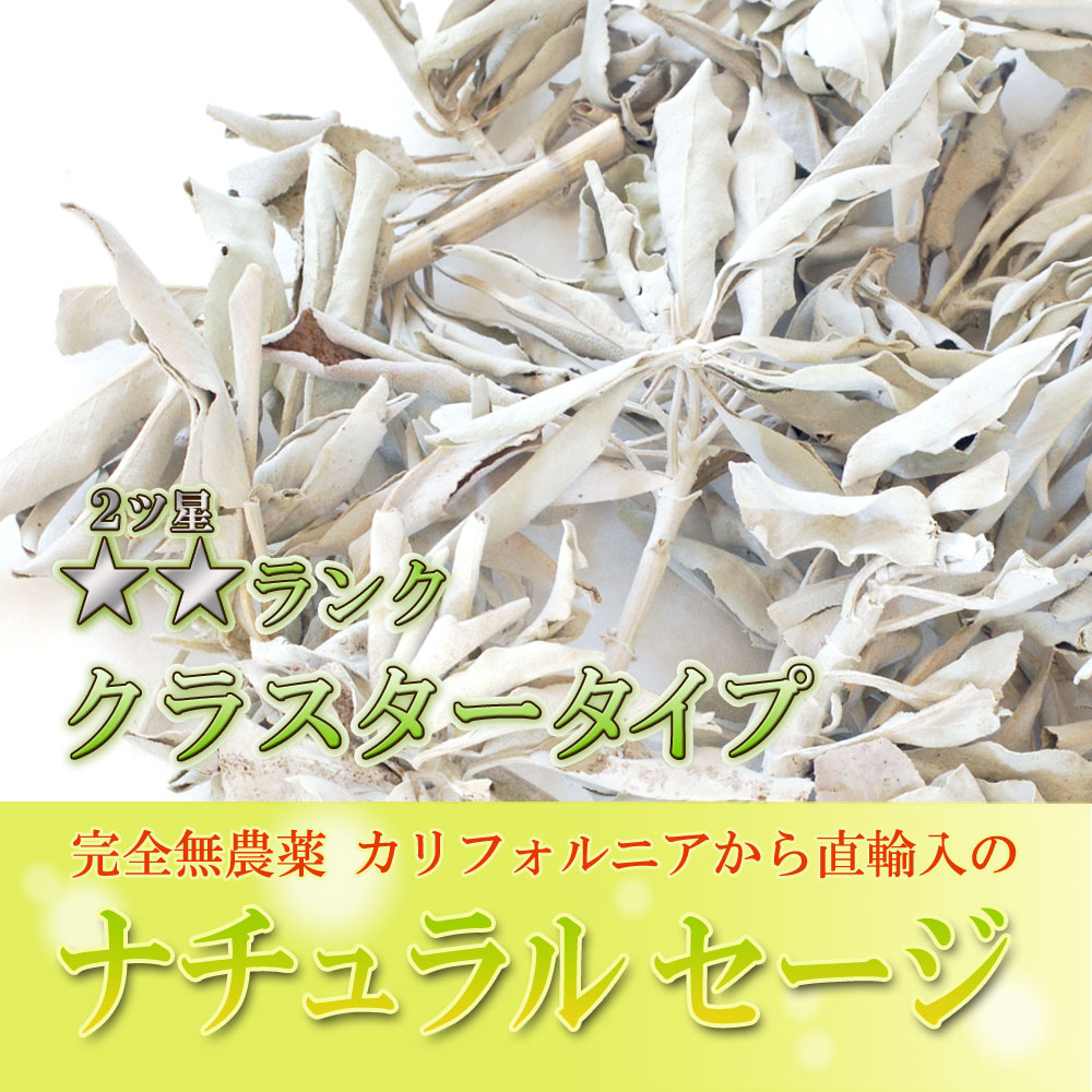 【あす楽対応商品】★送料無料無農薬高品質★ホワイトセージクラスター100g【枝付き】【ホワイトセージ浄化用スマッジングハーブカリフォルニアさざれアロマお香乾燥浄化効果花苗ポイント消化】
