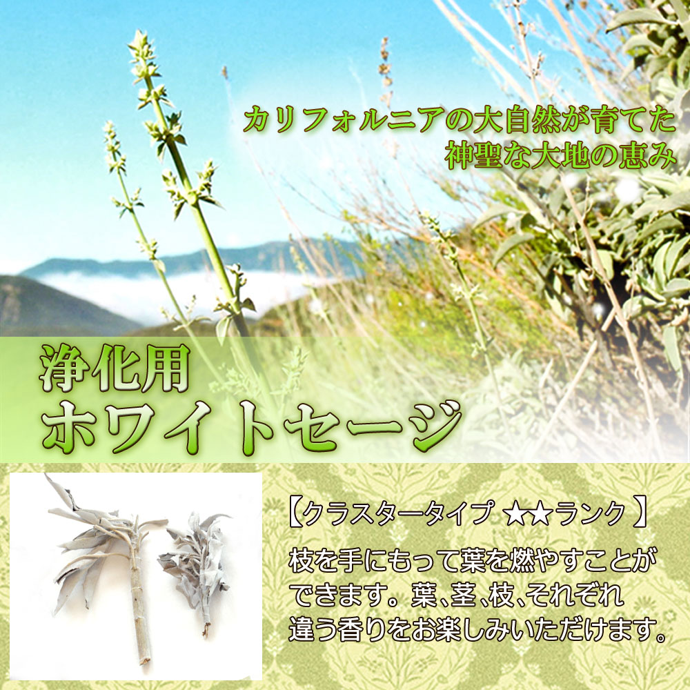 【あす楽対応商品】★送料無料無農薬高品質★ホワイトセージクラスター100g【枝付き】【ホワイトセージ浄化用スマッジングハーブカリフォルニアさざれアロマお香乾燥浄化効果花苗ポイント消化】