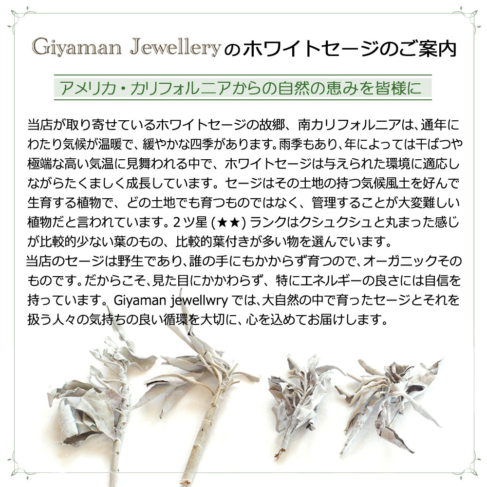 【送料無料】【あす楽対応】【無農薬採れたて直輸入!】ホワイトセージクラスター100g2ツ星【枝付き】【ホワイトセージ浄化用スマッジングハーブカリフォルニアさざれアロマお香乾燥浄化効果花苗ポイント消化】