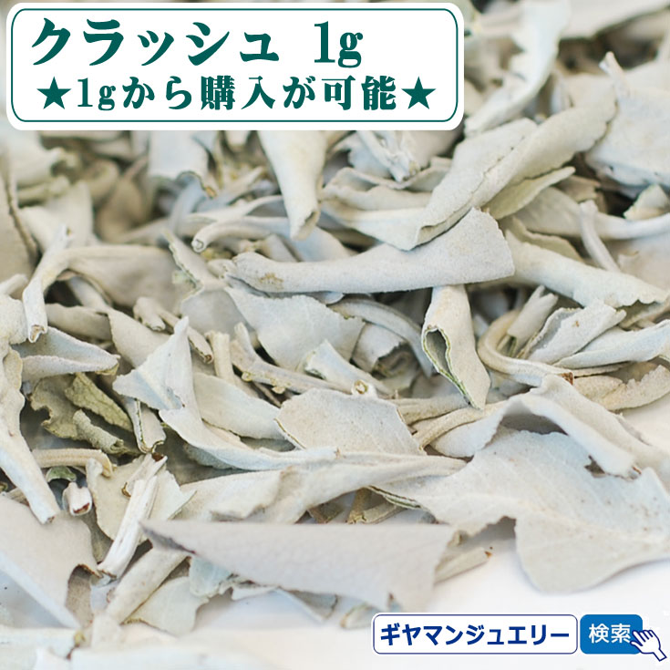 楽天市場】【期間限定10％増量中】＼完全無農薬 採れたて セージ