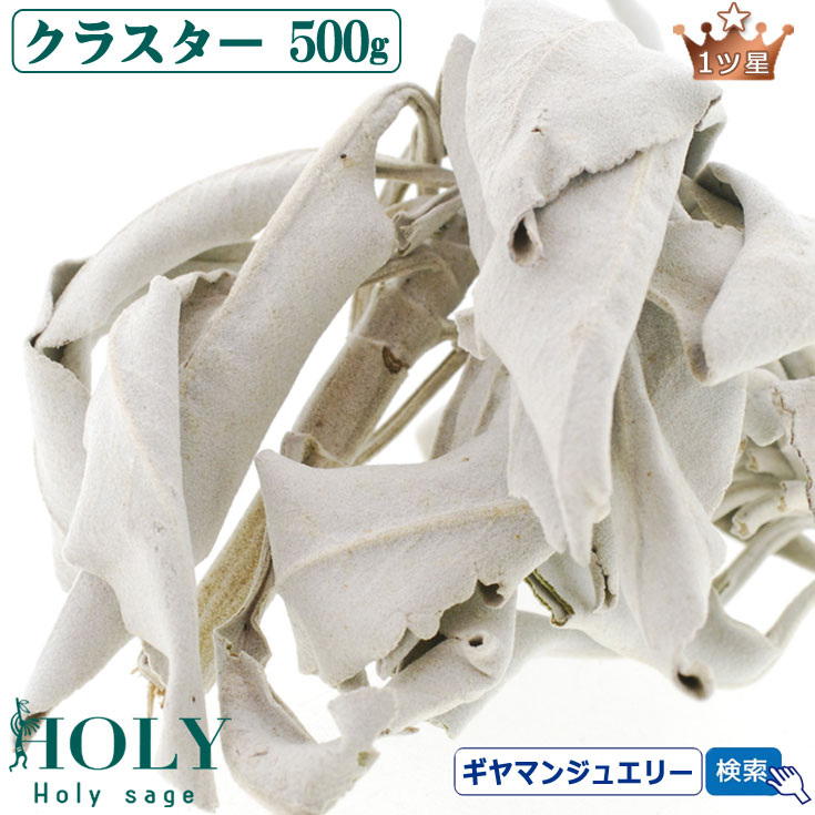 ＼完全無農薬 採れたて セージ／【送料無料】<br>ホワイトセージ クラスター 500g 1ツ星【枝付き】<br><br>【ホワイトセージ 浄化用 ホワイトセージ お香 ホワイトセージ 無農薬 ホワイトセージ パワーストーン 浄化  ポイント消化】