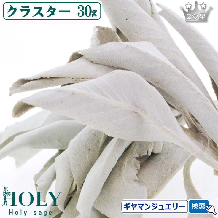 【お買得！大容量パック】ホワイトセージ　約450g　1ポンド Amazon | 無農薬 ホワイトセージ 枝付き (クラスター) 約50g