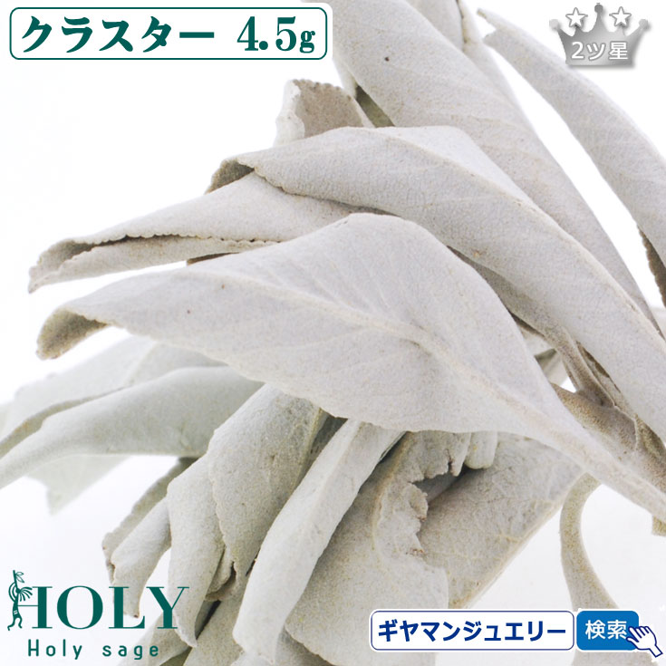 楽天市場】【無農薬 高品質】浄化用 ホワイトセージ ビック