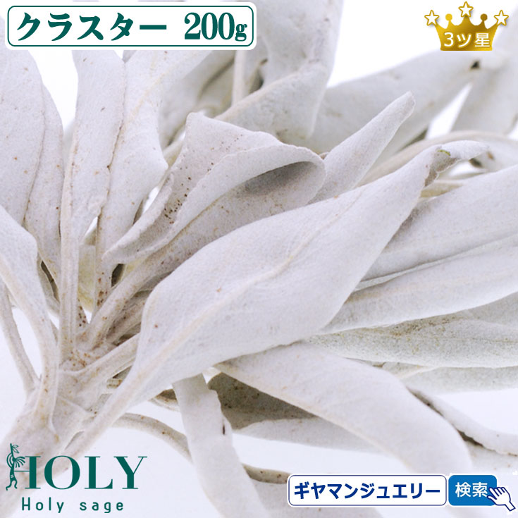 激安価格☆無農薬ホワイトセージ枝付きクラスター1kg業務用価額 業務用価額☆無農薬ホワイトセージ枝付きクラスター1KGお香浄化