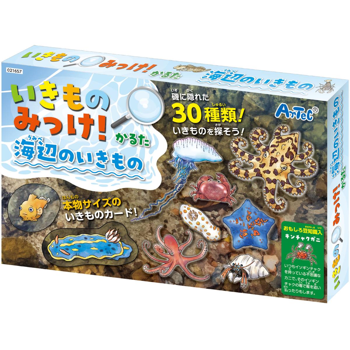楽天市場】いきものみっけ！かるた うみべのいきもの(メール便可