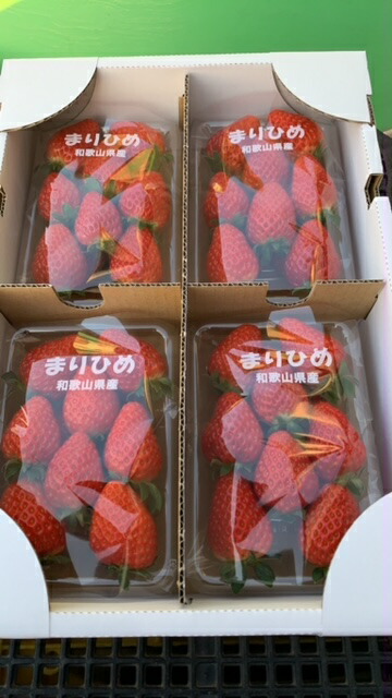 新作入荷!! 和歌山県産ブランドいちご まりひめ 約300g×4パック入り fucoa.cl