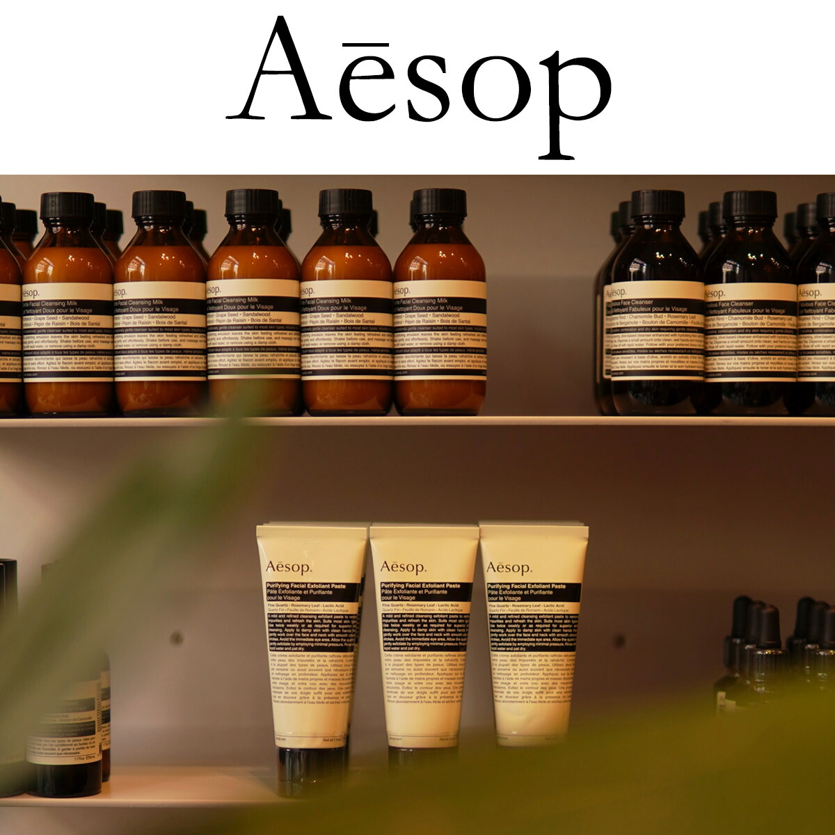イソップ Aesop 75ml アロマティック アンドラム ギフト ハンドクリーム ハンドバーム プレゼント レスレクション 通販 最大60 オフ ハンドクリーム