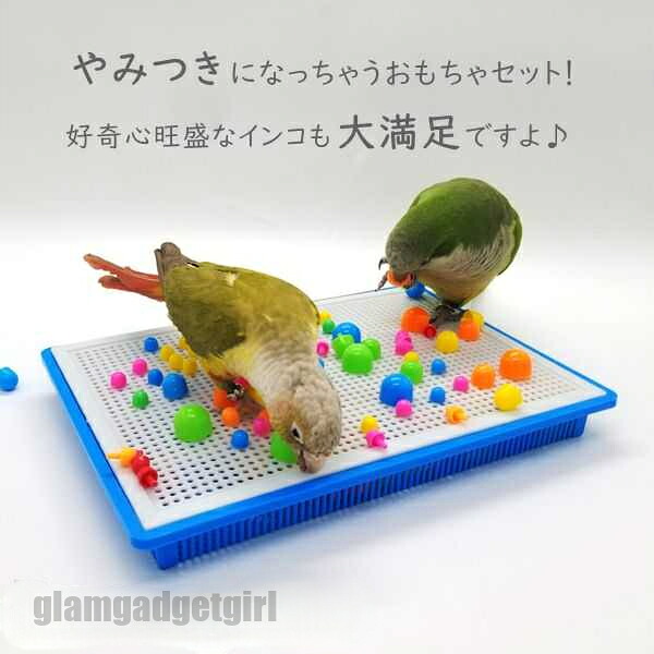 鳥の手あそび インコ 手あそび 小鳥手あそび 鳥 鳥類 剪断応力差し止める 鳥用手あそび 可塑性物質 オカメインコ バッジー ルリゴシボタンインコ ウロコインコ 小型のインコ 鳥用手あそび 鳥設備 鳥グッズ 手あそび 差し上げ物 差し上げ物 新生きて行く