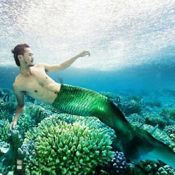 男女兼用 水族館演出用 水着 レディース 人魚姫 コスチューム マーメイド セパレートビーチ コスプレ 人魚姫 サイズ指定可 セクシー ハロウィン 仮装 水着 記念撮影 写真撮影用 プレゼント ギフト 新生活