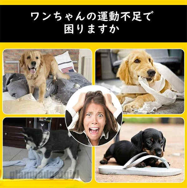 フライングディスク 犬 おもちゃ 円盤 ワンちゃん 5枚セット 噛むおもちゃ ランダム色 ランダムカラー ペット 犬用フライングディスク 遊び ストレス解消 柔らかい 投げる 運動 軽量 散歩 休日 愛犬 遊べる 公園 浮かべる 新生活
