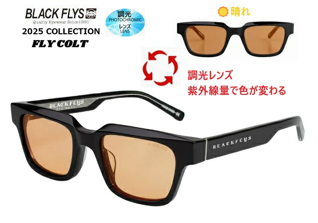 ブラックフライ（BLACKFLYS）サングラス【FLY COLT】PHOTOCROMIC LENS 調光レンズ BF-1813-01