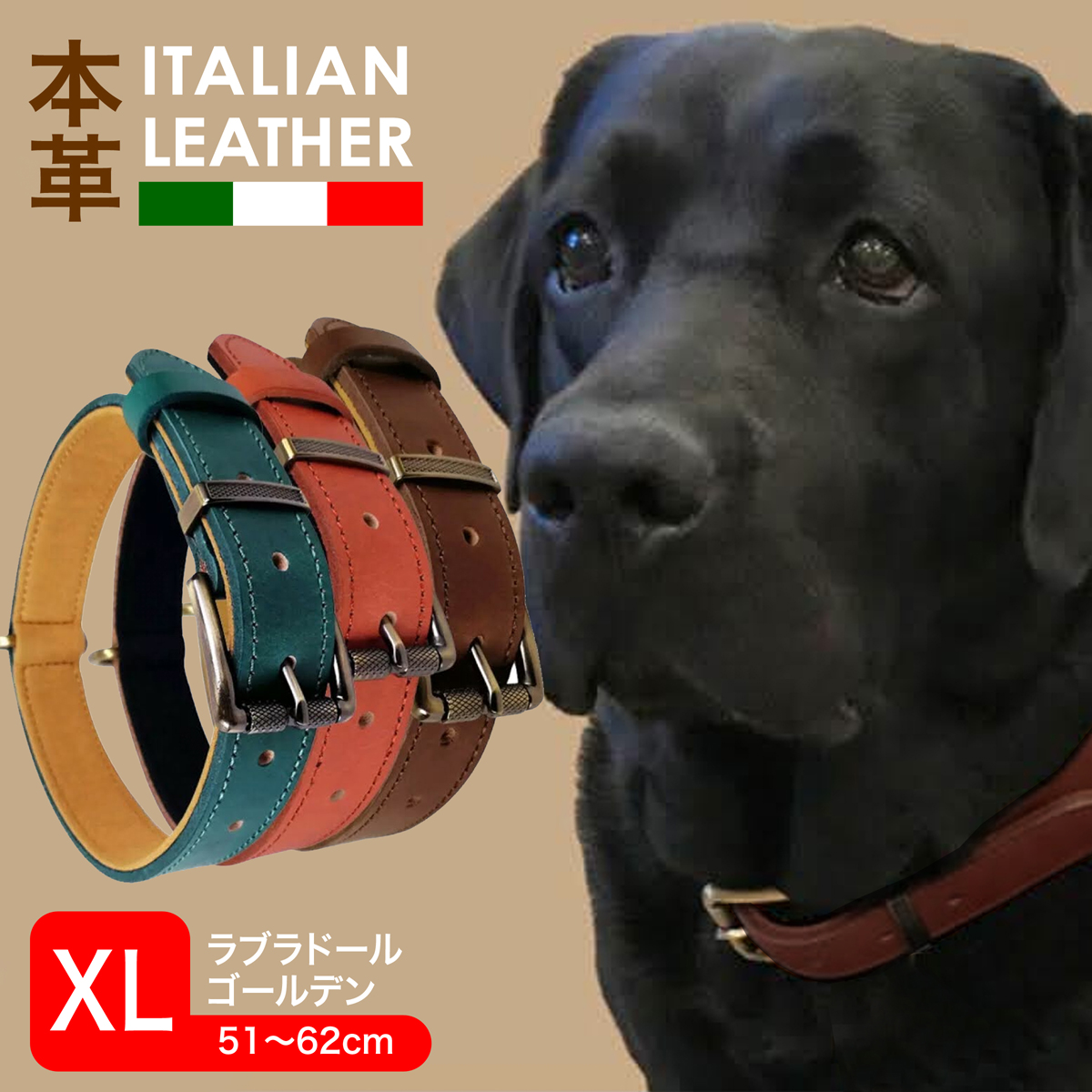 楽天市場 ペット 首輪 Xlサイズ 牛革 犬グリーン オレンジ コーヒー イタリア製牛革 マイクロスエード 本革 高強度dカン 首回り51 62cm 犬用首輪 ラブラドール ゴールデン 大型犬 いぬ イヌ あす楽 送料無料 ペット用首輪 チャーム用金具 おしゃれ プレゼント Up 641