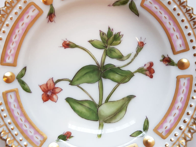 楽天市場 ロイヤルコペンハーゲン プレート フローラダニカ バタープレート 小皿 1枚 植物図鑑 1級品 美品 グラスクラシック 楽天市場店