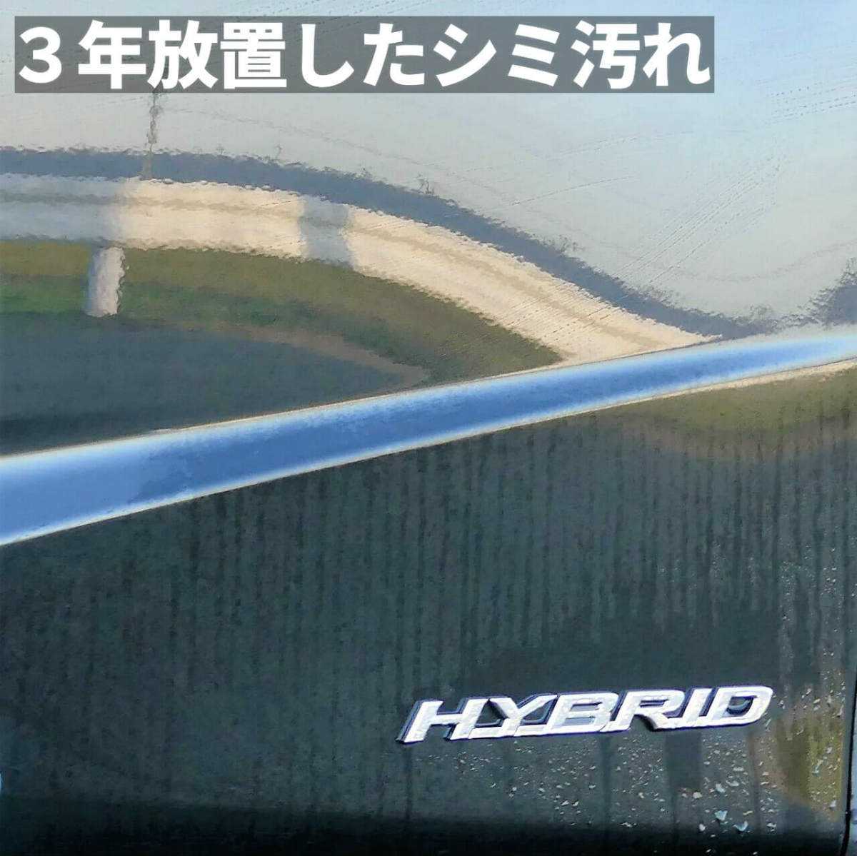 楽天市場 雨ジミ除去専用カークリーナー 雨ジミ スケール除去剤 100ml 市販レベル最強の除去力 車のシミ除去専用酸性カークリーナー 洗車で落ちないイオンデポジット 雨ジミ 水垢を強力除去 車のシミ落とし最終兵器 Msh Sim ハイブリッドナノガラス