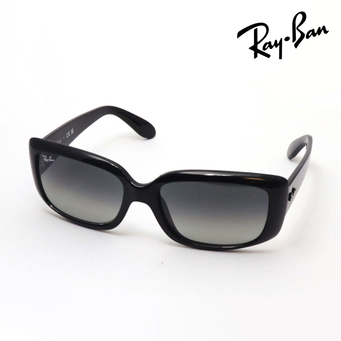 プレミア生産終了モデル レイバン サングラス 正規品 Ray-Ban RB4389 60171 レディース RayBan スクエア ブラック系｜グラスマニア -Tokyo Aoyama-