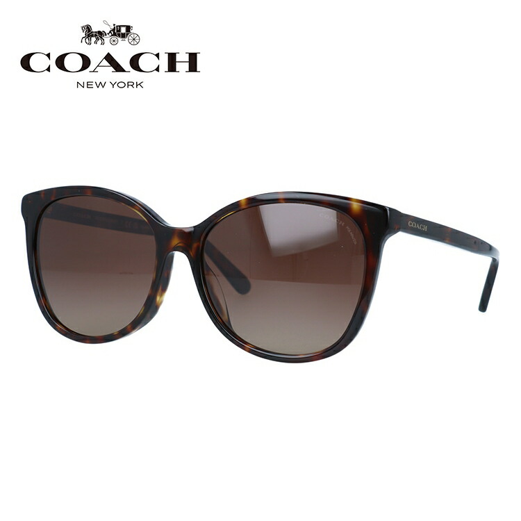 coac00-00110-m01.jpg