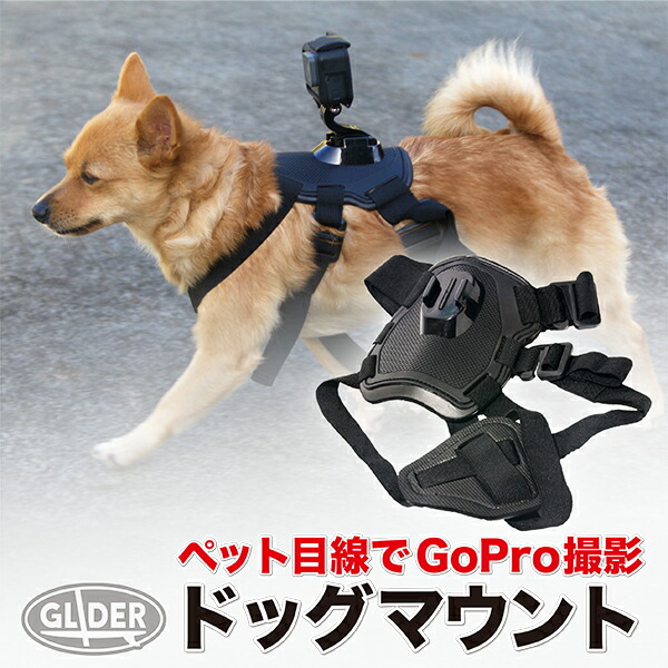 楽天市場 Gopro 用 アクセサリー ドッグマウントm Gp133 ゴープロ 用 ペット目線 Hero Session Osmo Action オスモアクション アクションカメラ対応 犬 送料無料 Glider Sports 楽天市場店