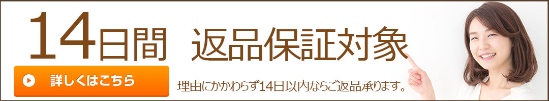 楽天市場】【10/20-11/5 バックパック＋フィルタープレゼント】eVscope