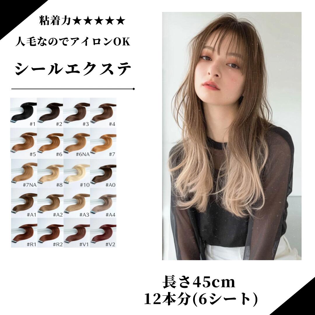 シールエクステ レミー人毛100% 9A20枚+13番20枚 楽天市場】アレス 人毛100% シール エクステ 20枚入り(60cm