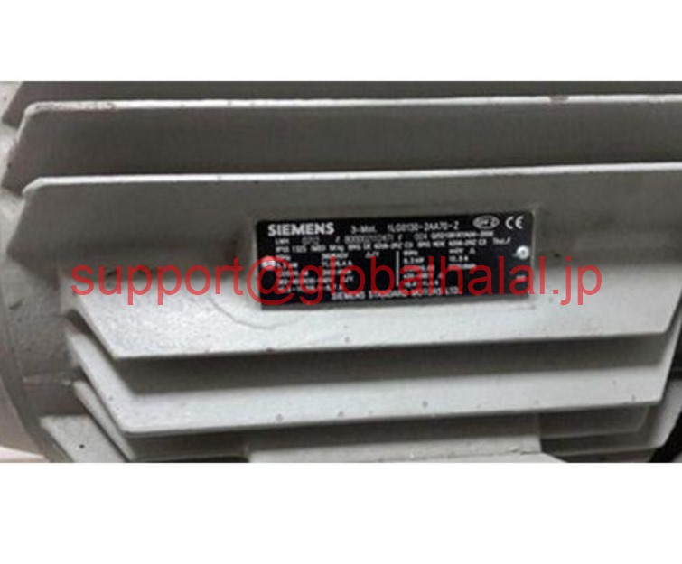 新品【東京発★適格請求書★税込】シーメンス Siemens 1LG0130-2AA70-Z 6.3KW【６ヶ月保証】