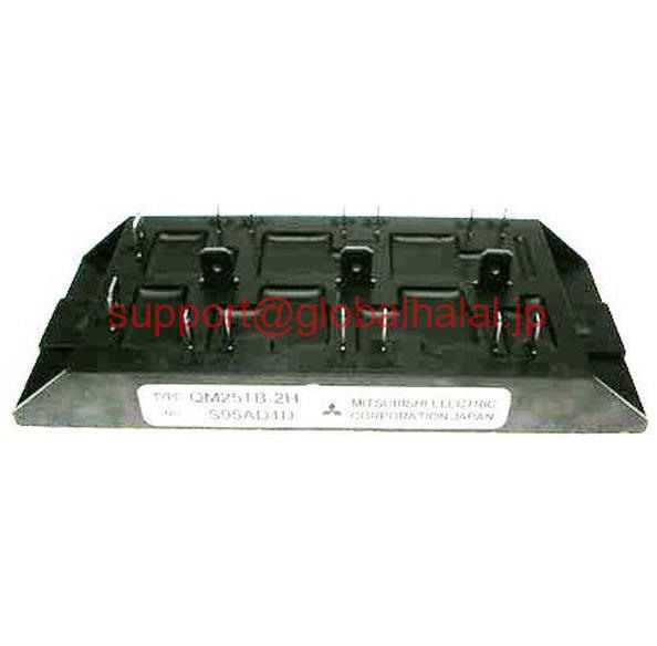 新品【日本の首都発★適当お願いごと書★税込】(2個) QM25結核症-2H MITSUBISHI IGBT Module QM25結核症2H 三菱【６ヶ月引き請ける】 その他-パソコン・周辺機器