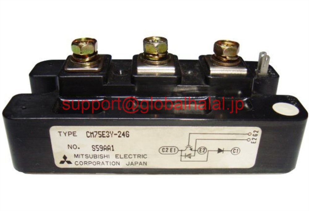 新品【日本の首都発★適当お願いごと書★税込】三菱 NEW MODULE コマーシャル75E3Y-24G コマーシャル75E3Y24G MITSUBISHI MODULE ORIGINAL【６ヶ月引き受ける】