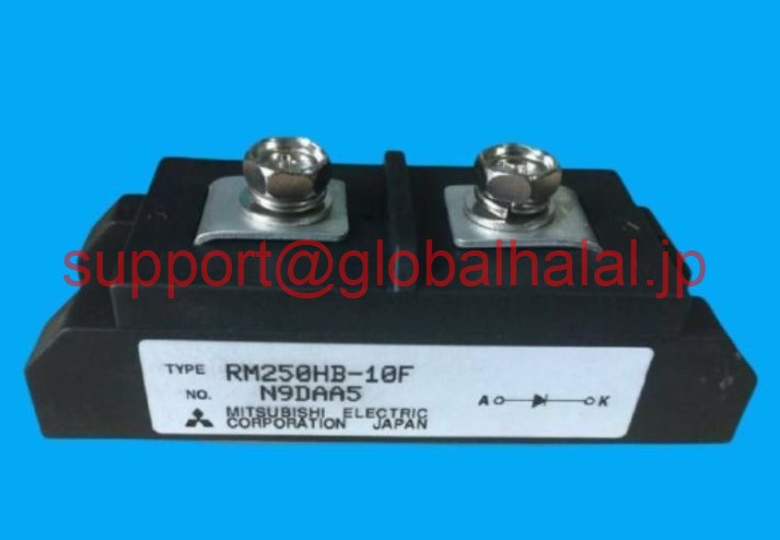 新品【日本の首都発★適当お願いごと書★税込】(2個) RM250HB-10F Mitsubishi Module RM250HB10F 三菱【６ヶ月引き受ける】